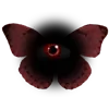 ❤️ Эмодзи «Blood #color #red #black #style» для Telegram