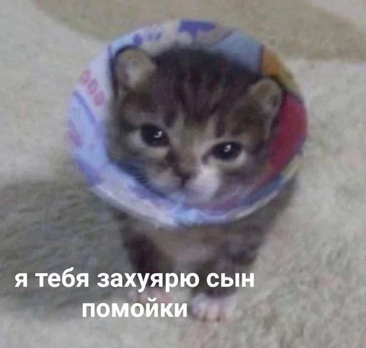 🤬 Стикер «дизмилейт» для Telegram